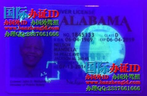 美国阿拉巴马州驾驶执照Alabama State Driver's License