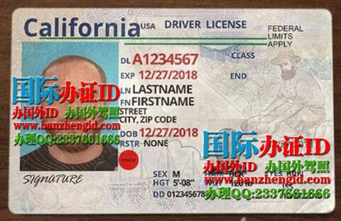 美国加州驾驶证California Driver's License