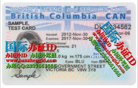 不列颠哥伦比亚省驾照British Columbia driver's license