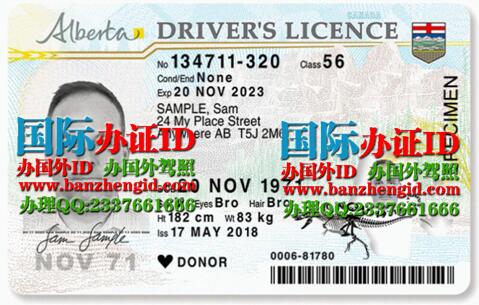 亚伯达省驾驶执照Alberta driver's license