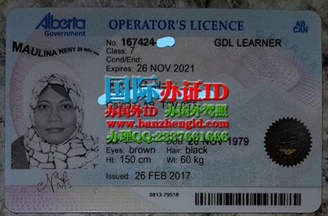 阿尔伯塔ID驾照Alberta ID driver's license