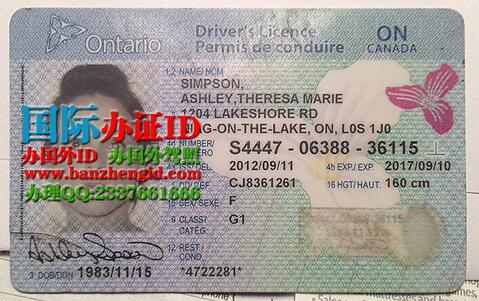 Ontario driver's license