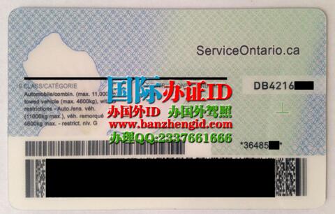 Canadian Ontario Driver's License