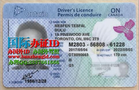 Canadian Ontario ID Card