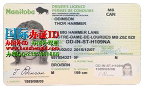 Manitoba Driver's License