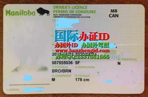 需要办理曼省ID驾照Manitoba driver's license ID请提供以下资料