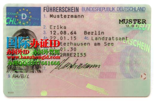 正面-办理德国驾驶执照需要提供以下资料：