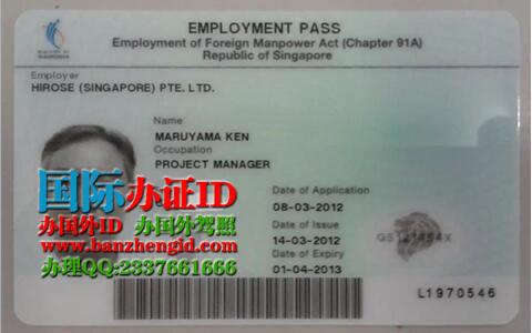 新加坡就业准