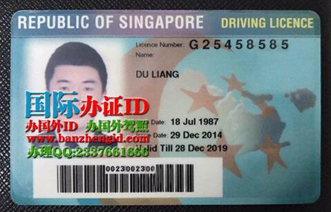 新加坡驾驶证Singapore driver's license