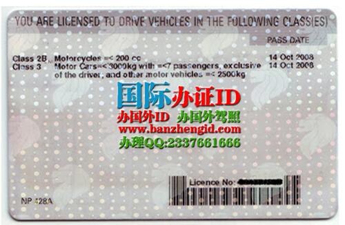 Republic of Singapore driving license