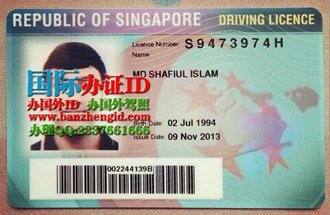 Singapore driving license
