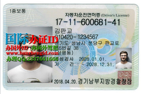 Korean driver's license