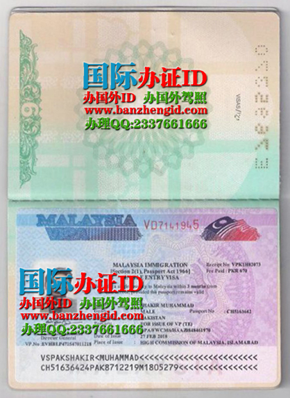 办马来西亚签证,Visa Malaysia,Malaysia visa,马来西亚签证样本
