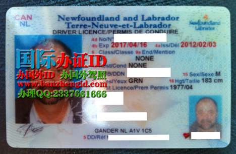 纽芬兰与拉布拉多省驾照Newfoundland and Labrador driver's license(Newfoundland and Labrador id)    加拿大纽芬兰与拉布拉多省驾照换中国驾照，Newfoundland & Labrador  driver's license ，办理加拿大纽芬兰省驾照。