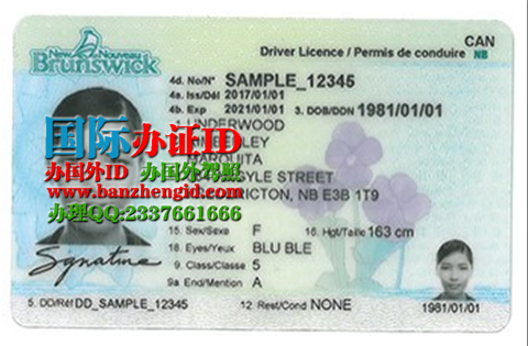 加拿大新不伦瑞克省驾照New Brunswick driver's license（New Brunswick ID），加拿大新不伦瑞克省驾照转中国驾照，加拿大新不伦瑞克省驾照翻译，办新不伦瑞克省驾照
