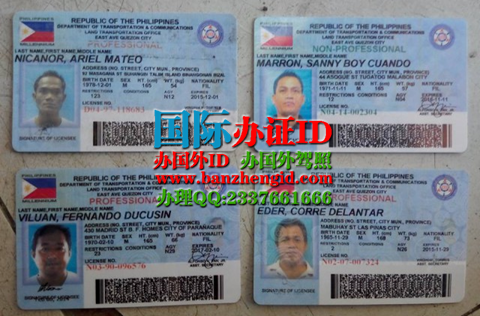 购买菲律宾驾照,Philippine driver's license