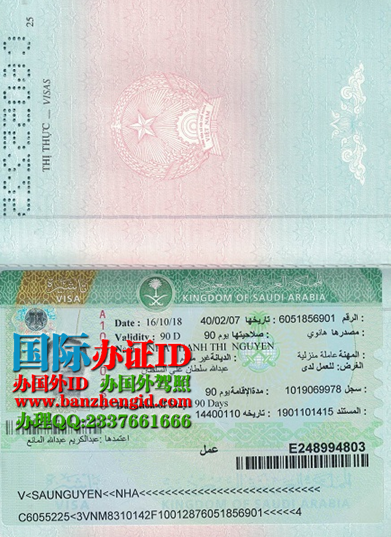 越南签证Visa việt nam，越南签证Vietnamese visa