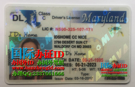 Maryland Identification Cards，如何获得马里兰州驾驶执照，How To Get A Maryland Driver''s License，马里兰州考驾照的流程，美国马里兰州换驾照，在美国马里兰州如何拿驾照？马里兰州临时驾照，中国驾照转马里兰驾照，成功拿到马里兰驾照，购买马里兰州驾照，马里兰非法移民驾照，美国马里兰州驾照翻译，马里兰州驾照翻译认证，马里兰州驾照换中国驾照。