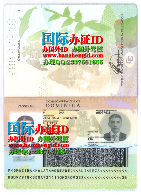 多米尼加护照Dominican passport（Pasaporte dominicano），购买多米尼加护照，出售多米尼加护照，办理多米尼加护照，多米尼加护照样本