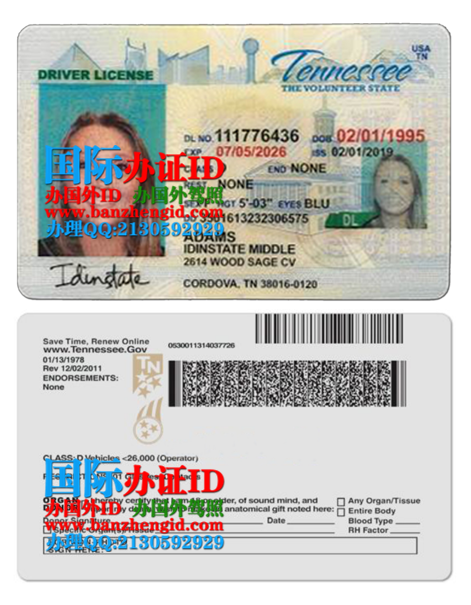田纳西州驾照,Tennessee driver's license,田纳西州身份证,Tennessee ID