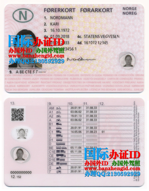 挪威驾照,Norwegian driving license,挪威驾驶执照,Norsk førerkort