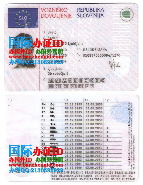 斯洛文尼亚驾照,Slovenia driver's license,斯洛文尼亚驾驶执照,Vozniško dovoljenje Slovenije