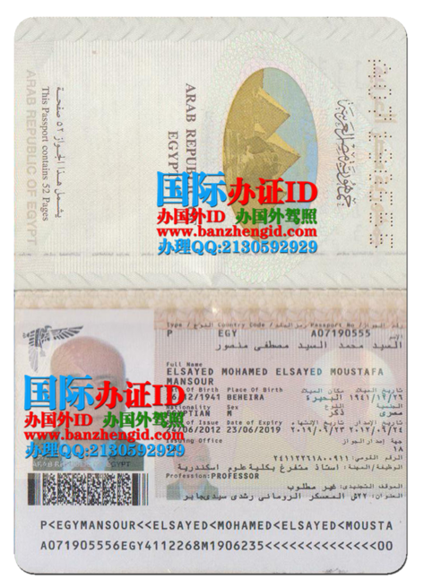 埃及护照,جواز سفر مصري,Egyptian passport,办埃及护照,在线购买埃及护照,在线出售埃及护照,埃及护照样本,阿拉伯埃及共和国护照样本