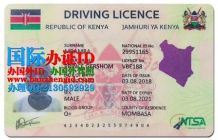 肯尼亚驾照,Kenya drivers license