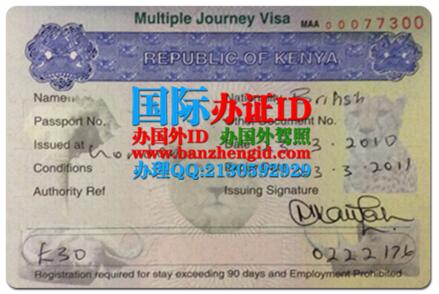 肯尼亚签证,Kenya visa