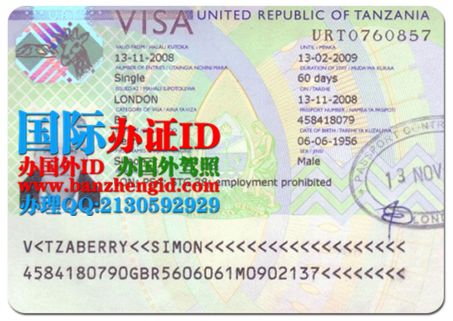 坦桑尼亚签证,Tanzania visa